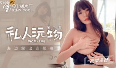 国产AV91CM245私人玩物2高梨遥香的啊!
