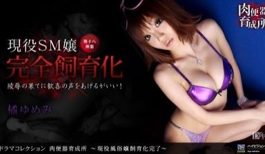 1pon 060910_852 橘ゆめみ 肉便器