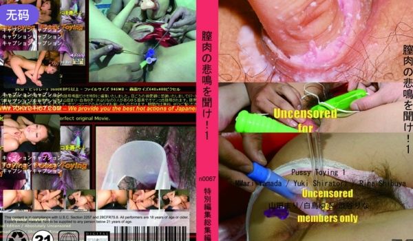 n0067 膣肉の悲鸣を闻け！1