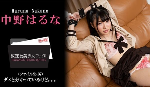 HEYZO-3044-FHD-放课后美少女ファイ