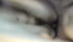 颜值不输明星的女主播加入火爆双飞2!