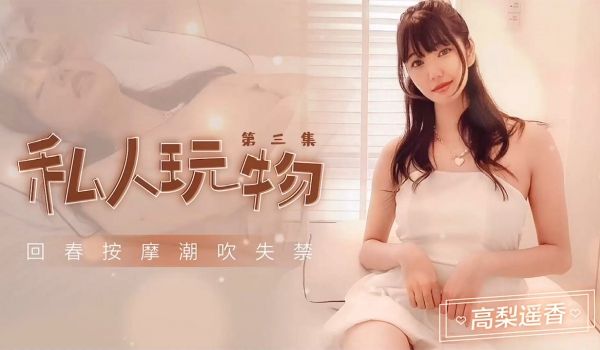 私人玩物3-高梨遥香