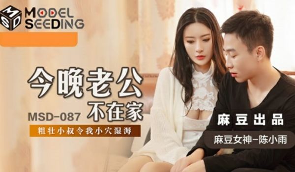 麻豆传媒-今晚老公不在家-陈小雨
