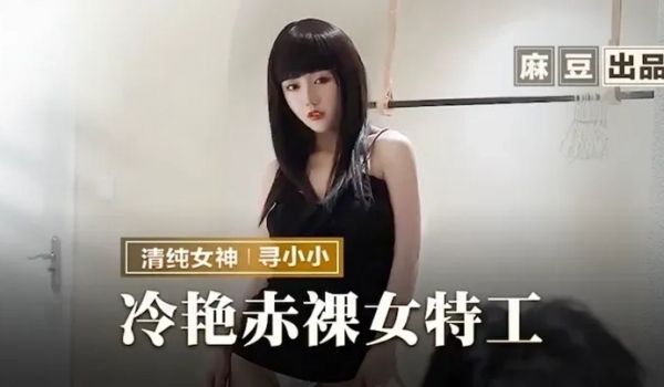 冷艳赤裸女特工返璞归真祝贺炮-寻小小
