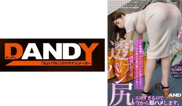 104DANDY-875A ゴミ集积场でタイトワ