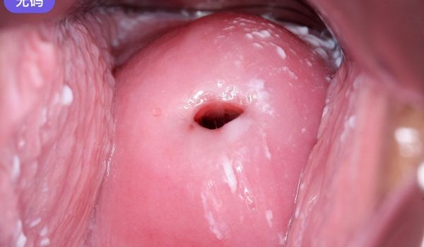 N0927 私、超淫乱なんです…