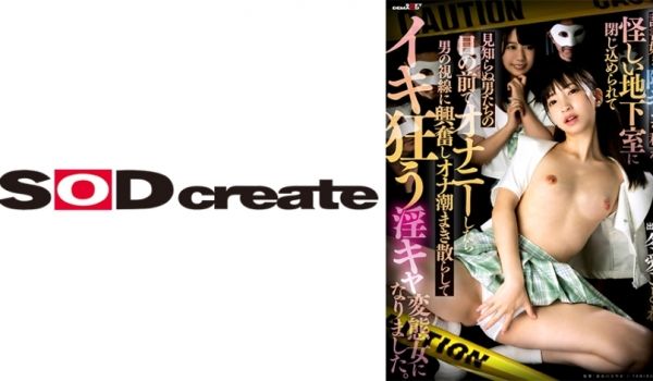107SDHS-042 読书好きの阴キャな私が怪