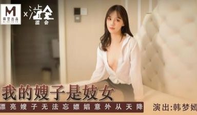 国产麻豆AV 涩会 SH004 我的嫂子是妓女 