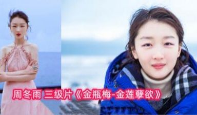 【AI明星淫梦】明星AI换脸周冬雨金瓶梅-金莲孽