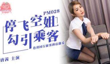 国产麻豆AV 蜜桃影像传媒 PM028 停飞空姐