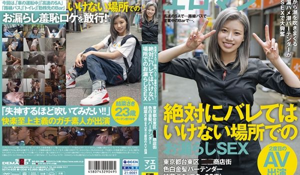 SDTH-028-C 高速のSAで…路线バスで…
