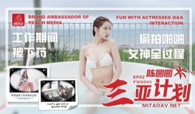 国产AV 蜜桃影像传媒 PMD003 EP2 陈