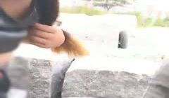 大白天小区旁绿化公园路边野战啪啪啪直播豪放大胸女
