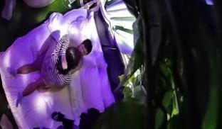 趁着午休时间年轻男女同事钟点房爽一下时间有限直奔