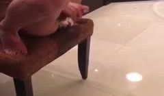 潮吹喷得到处都是。