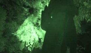 NXG-480 夜道や覗きで见つけた无防备な人妻