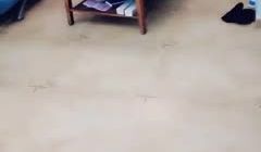 两个小姐妹玩的正嗨的时候来了一位男生开始3P。