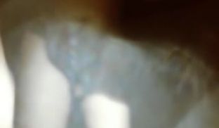 欧阳专攻良家妹,解开衣服舔奶子舔逼,舔的妹子娇喘