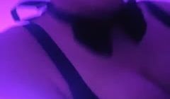 精选 情趣套装 丝袜兔女郎1。