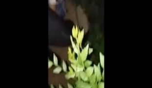 骚妇主播勾引刚放假的外甥户外吃鸡巴舔b喝尿真是毫