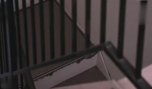 真实投稿-入室侵犯少妇事件。。