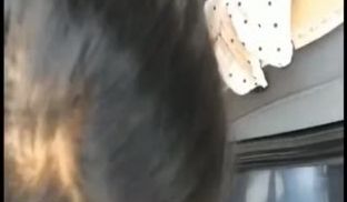 野外叫情人一起郊游路上饥渴脱下来开始车震小骚货。