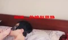 【变态重口】比女人还美的人妖伪娘赵恩静性感白丝袜