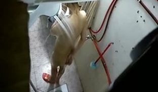 面宿舍有个男人天堂的缝隙