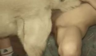 和男友分手后与狗狗为伍的日常