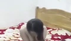 出租屋抓奸的!。。