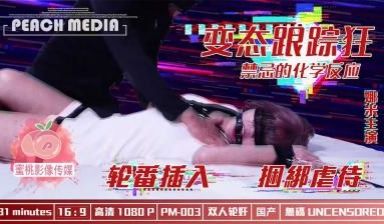 国产AV 蜜桃影像传媒 PM003 变态跟踪狂 