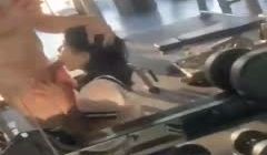精选 私拍 淫荡健身学生口爆教练大肉棒。
