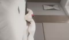 约了个丰满少妇酒店啪啪，撕掉丝袜上位骑坐抽插猛操