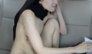 老婆在车里面玩电击2