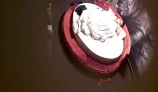精品酒店大圆床偷拍中年事业男和少妇开房偷情搞完抽