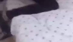 【桃视角】 校园霸凌强奸事件！