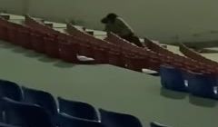 【网曝门】郑州财经学院-下沉广场事件 全记录