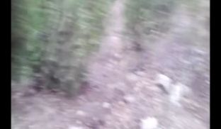 云盘泄密-外貌白皙清纯骨子淫骚的大学美女和男友出