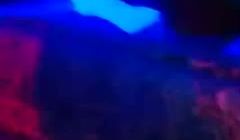 【独家吃瓜】成都莎莎舞厅实录~劲爆无套爆插舞女