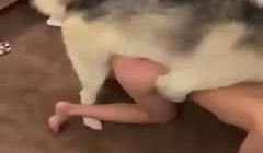不装b！让你们看看我的小母狗是怎么配种的