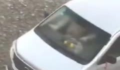 光天化日搞车震以为人家看不到