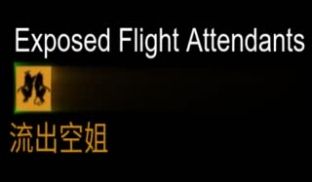 【独家泄密】台湾“中华航空”最美空姐被潜规则！真