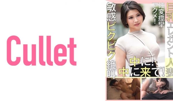 733CLT-015 巨乳エレガント人妻 确変痉