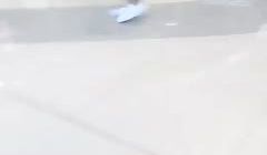 金导AV大制作，什么国行桃谷里绘香？野外商城WC
