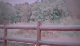 公园绿荫道上的大胆露出