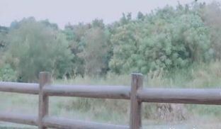 秋天的风衣里什么都不穿才舒服
