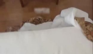 天堂哥与大蜜女神约拍全记录