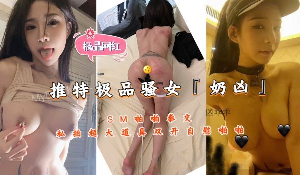推特极品骚女『奶凶』SM啪啪拳