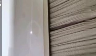 嗲声美女啪啪秀蝴蝶B