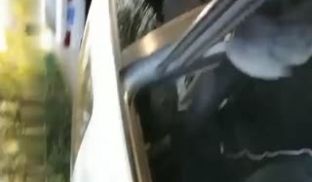 高颜值妹子车震口交